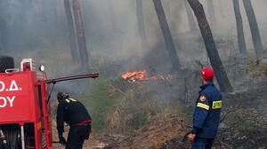 Κιλκίς: Πυρκαγιά σε χαμηλή βλάστηση στην Παιονία