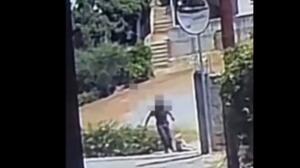 Κτηνωδία στο Άστρος: Σκύλος βρέθηκε νεκρός σε κάδο απορριμμάτων με σύρμα στο λαιμό - Δείτε βίντεο