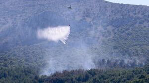 Χίος: Σύλληψη 68χρονου για τη φωτιά στο Βίκι