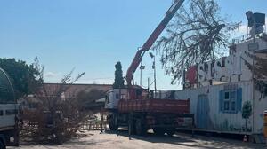 Άγιος Νικόλαος: Με εντατικούς ρυθμούς οι εργασίες καθαριότητας, πρασίνου και ηλεκτροφωτισμού ενόψει του Δεκαπενταύγουστου