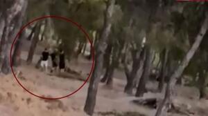 Challenge ανηλίκων μέσα σε δάσος στη λεωφόρο Πεντέλης - Βάζουν φωτιά και μετά προσπαθούν να τη σβήσουν (Βίντεο)