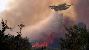 Βέλγιο: Πυρκαγιά αποτέφρωσε 16.500 στρέμματα στο μεγαλύτερο ορεινό φυσικό πάρκο 