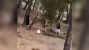 Πεντέλη: Ταυτοποιήθηκαν οι ανήλικοι που έβαζαν φωτιά σε δασική έκταση για challenge