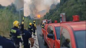 Φωτιά στα Σελλιά: Γιος διακεκριμένου χειρουργού που διδάσκει και στην Ελλάδα ο 35χρονος Ισραηλινός