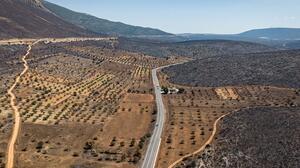 Κρατική αρωγή και στήριξη των πληγέντων: Το σχέδιο αποκατάστασης των περιοχών που επλήγησαν από τις πυρκαγιές