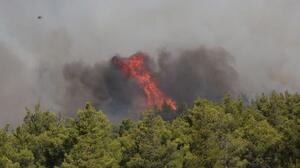Φωτιά στην Κεφαλονιά: Ενισχύθηκαν οι δυνάμεις στον Κατελειό