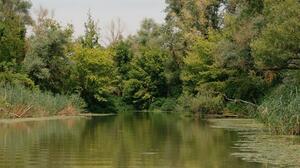 Τραγωδία με 40 νεκρά παιδιά από ανατροπή υπερφορτωμένης λέμβου στη Νιγηρία 