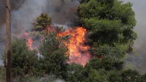 Δραματικές ώρες στη Δυτική Αττική - Μαίνεται ανεξέλεγκτη η πυρκαγιά, οι φλόγες καίνε κοντά σε σπίτια στην Αγία Σκέπη