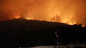 Σοκαριστικά στοιχεία άφησε πίσω της η μέγα-πυρκαγιά στην Αττικοβοιωτία