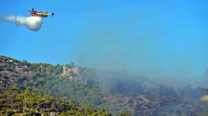 Φωτιά σε δάσος στη Νερομάννα Αιτωλοακαρνανίας