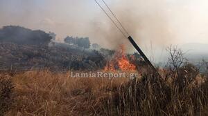 Συναγερμός για πυρκαγιά στο Βαθύκοιλο Φθιώτιδας - Σηκώθηκαν και τα δύο αεροσκάφη από Λαμία