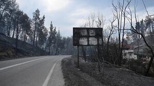 Χαλκιδική: 3,5 εκατ. ευρώ για την αποκατάσταση μετά την πρόσφατη πυρκαγιά - Σε 10 ημέρες τα πρώτα επιδόματα