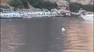 Η μικρή κυρία που καίει καρδιές στο κολπάκι του Λουτρού