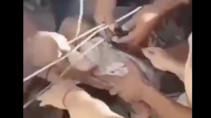 Κολομβία: Θαύμα στα ερείπια - Η στιγμή που οι διασώστες ανασύρουν ζωντανό βρέφος 6 μηνών