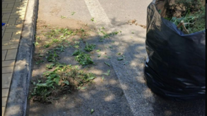Φιλότιμο από την Αρχαιοφύλακα - Τί κάνουν οι αρμόδιοι; 