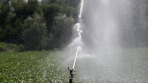 Αυστηρή η εφαρμογή του κανονισμού άρδευσης στον Δήμο Μινώα Πεδιάδας - Απολύθηκε υδρονομέας