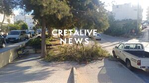 Ηράκλειο: Μεγάλο τμήμα δέντρου έπεσε κοντά σε χώρο όπου παίζουν μικρά παιδιά! (ΦΩΤΟ)