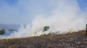 Πρόστιμα 5.878 ευρώ για παράνομες καύσεις σε Ρέθυμνο και Άγιο Βασίλειο