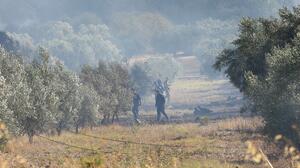 Πτώση Phantom στην Τανάγρα: Ο ΣΥΡΙΖΑ-ΠΣ ζητά απαντήσεις για το τραγικό δυστύχημα