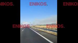 Φωτιά στη Θήβα: Μάχη με τις φλόγες στον Μύτικα, επιχειρούν ισχυρές δυνάμεις