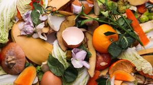 Ρέθυμνο - Zero Waste Forum: Πολιτεία, επιστήμη, αγορά και κοινωνία στο ίδιο τραπέζι 