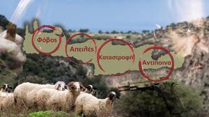 Λασίθι: Από "αμούστακο αγόρι" στον... πυρήνα των αποφάσεων για τις ζωοκλοπές