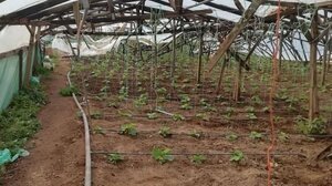 Αναζητούν λύση στην Ιεράπετρα για τα ανακυκλώσιμα αγροτικά υλικά 