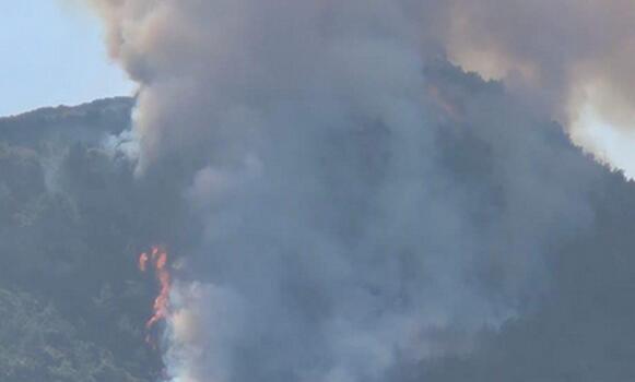 Καύση υπολειμμάτων προκάλεσε την πυρκαγιά στην Αχαΐα - Χειροπέδες σε 51χρονο