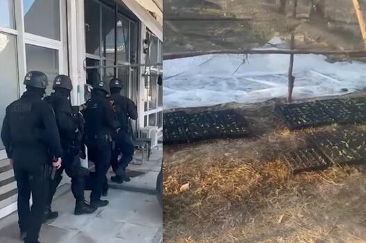 Βίντεο από τη επιχείρηση της ΕΛ.ΑΣ για την μεγάλη φυτεία κάνναβης στον Αποκόρωνα
