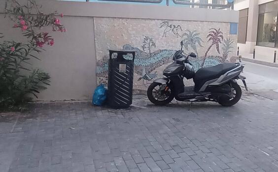 Όταν ο κάδος γίνεται... έργο τέχνης και το έργο τέχνης γίνεται φόντο