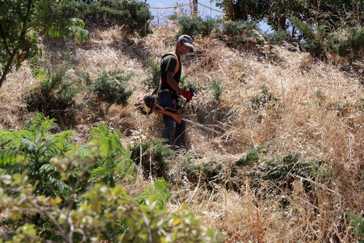 Αναγκαιότητα ο καθαρισμός των τειχών από ξερόχορτα και σκουπίδια