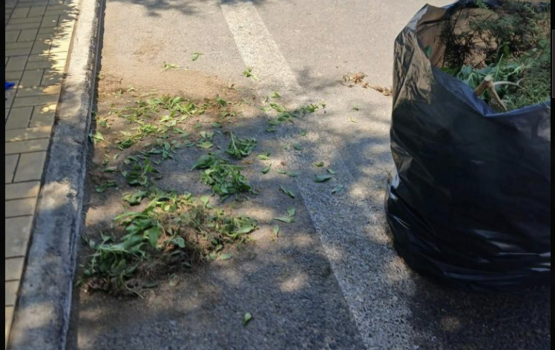 Φιλότιμο από την Αρχαιοφύλακα - Τί κάνουν οι αρμόδιοι; 