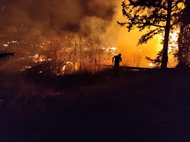 φωτιά Σκινιάς