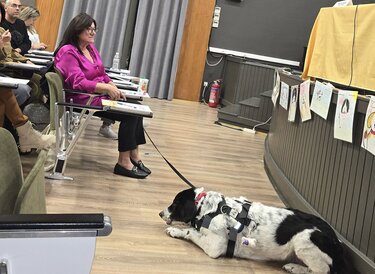 Ημερίδα για την προαγωγή της φιλοζωίας 