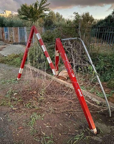 Κλαδί δέντρου, Μοίρες, Πτώση