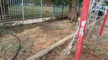 Κλαδί δέντρου, Μοίρες, Πτώση