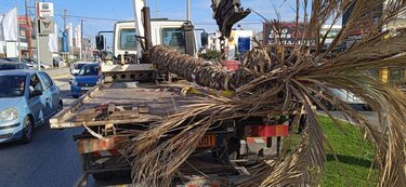 Πτώση, Φοίνικας