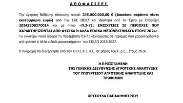 Εξισωτική αποζημίωση, Απόφαση