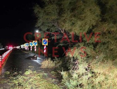 Πτώση δέντρου, Εθνική οδός