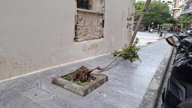 Δεντράκι, Πλατεία Αγίας Αικατερίνης