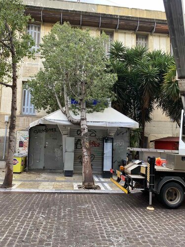 Δέντρο, Ξερίζωμα