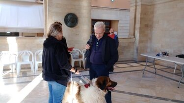 Γιορτή υιοθεσίας, Αλέξης Καλοκαιρινός