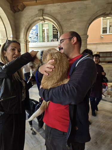 Γιορτή υιοθεσίας, Αλέξης Καλοκαιρινός