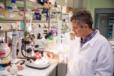 O Διευθυντής του ΙΜΒΒ-ΙΤΕ και καθηγητής στο Γεωπονικό Πανεπιστήμιο Αθηνώ, κ Ιωάννης Βόντας