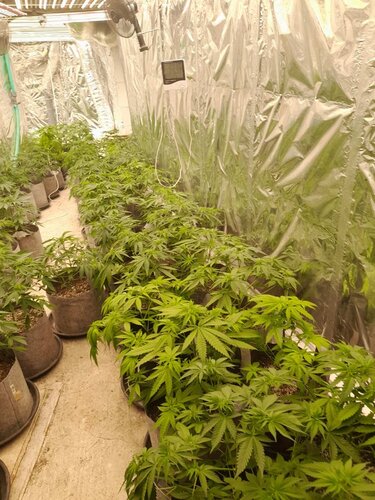 Γιάφκα,Ρέθυμνο, όπλα, ναρκωτικά