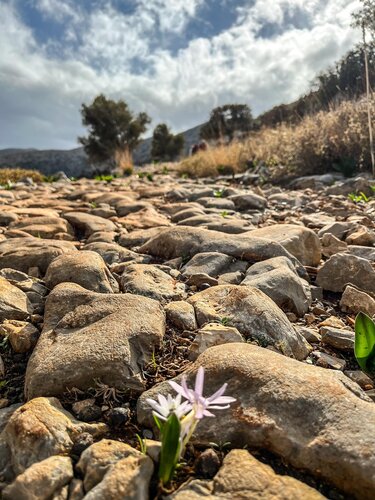 Ορειβατικός Σύλλογος Αγίου Νικολάου, Μάλια
