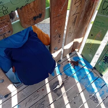 Πάρκο, Σύριγγες