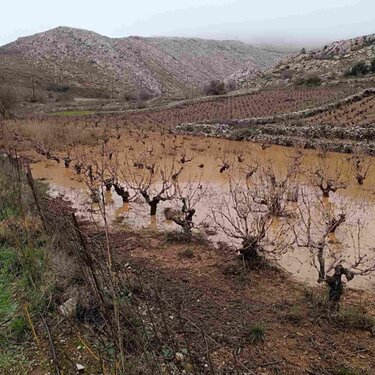 Πλημμύρες Δήμος Αρχανων