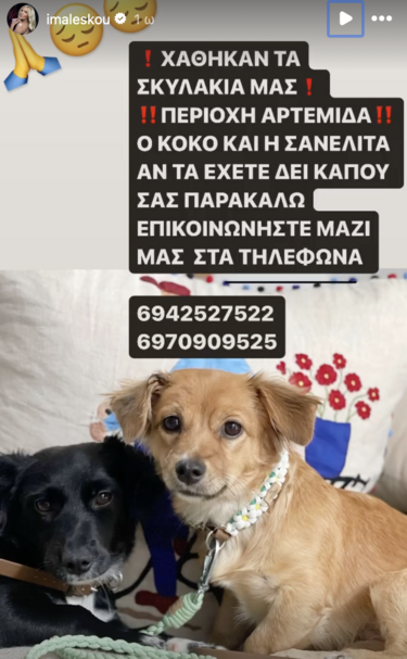 μαλέσκου σκυλακια