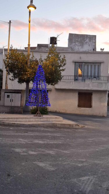 Χριστουγεννιάτικο δέντρο 